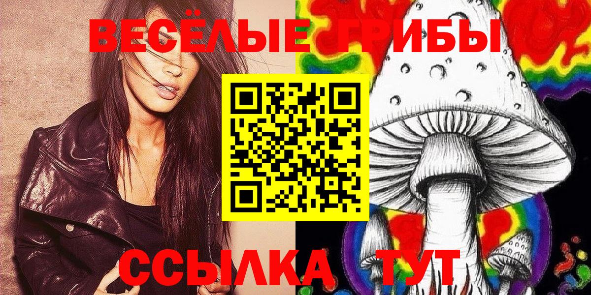 Псилоцибиновые грибы Psilocybe Клинцы